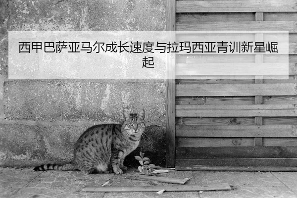 xi-jia-ba-sa-ya-ma-er-cheng-zhang-su-du-yu-la-ma-xi-ya-qing-xun-xin-xing-jue-qi-2-373.jpg
