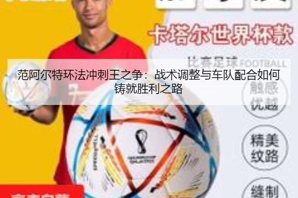 fan-a-er-te-huan-fa-chong-ci-wang-zhi-zheng-zhan-shu-tiao-zheng-yu-che-dui-pei-he-ru-he-zhu-jiu-sheng-li-zhi-lu-3-807.jpg