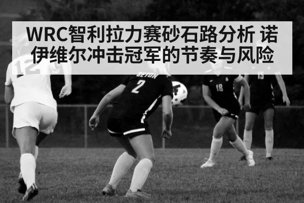WRC智利拉力赛砂石路分析 诺伊维尔冲击冠军的节奏与风险